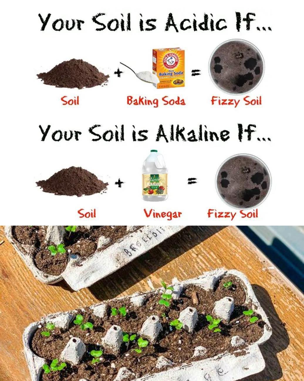 tierra, alcalina, acida