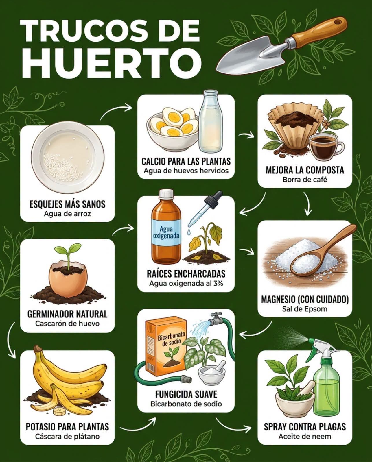 trucos, huerto