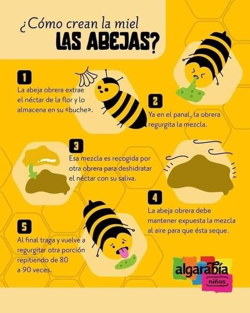 abejas