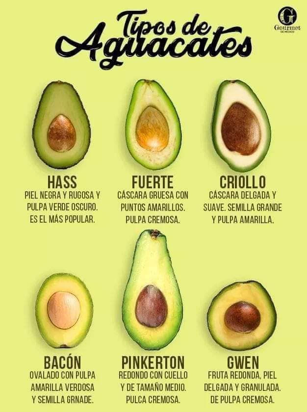 aguacates