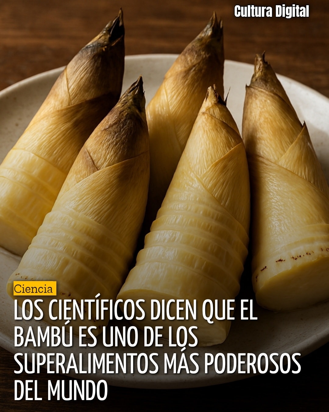 bambu, brotes
