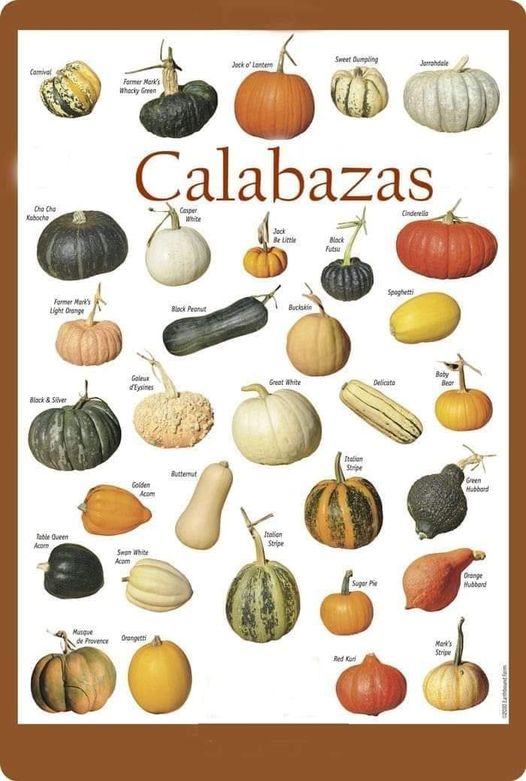 calabazas