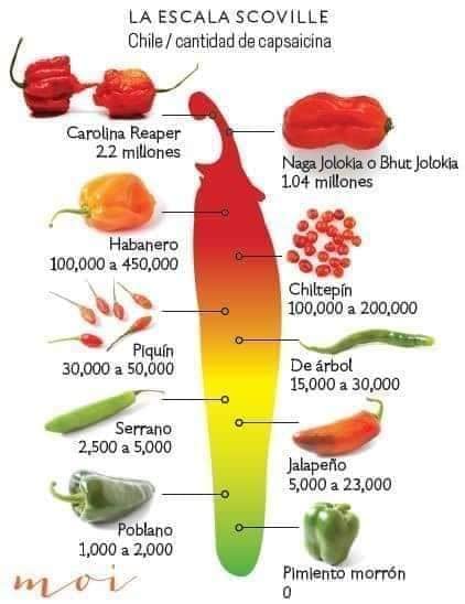 chile, capsaicina