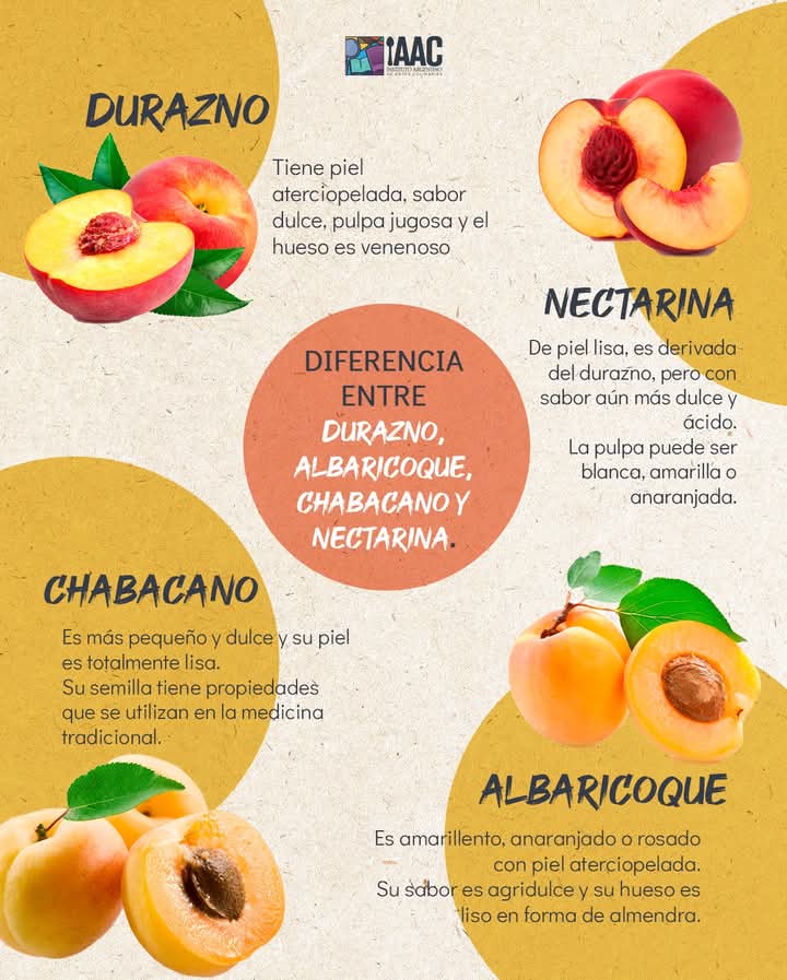 durazno, nectarina, chabacano, albaricoque
