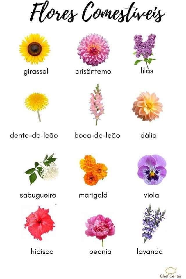 flores, comestibles