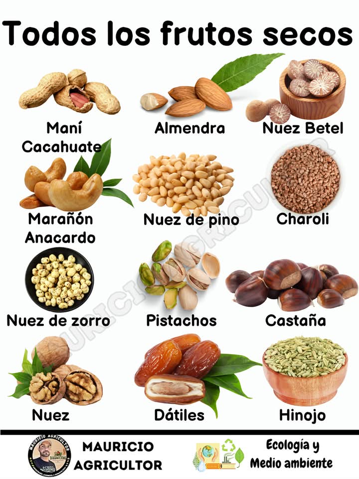 frutos, secos
