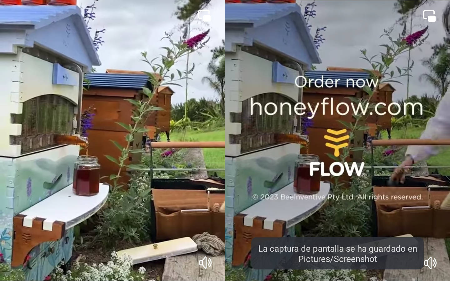 honeyflow