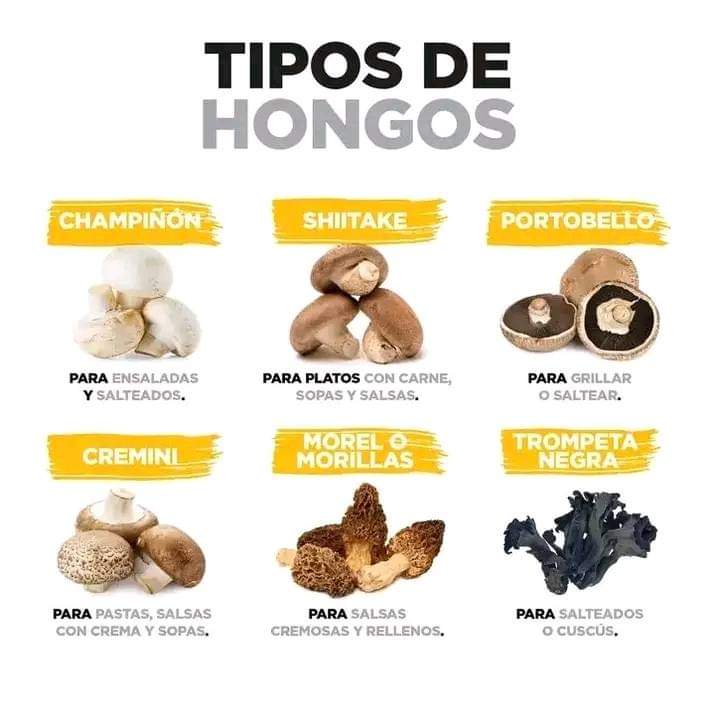 hongos