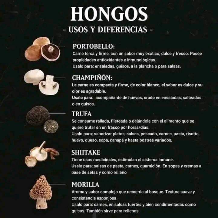 hongos