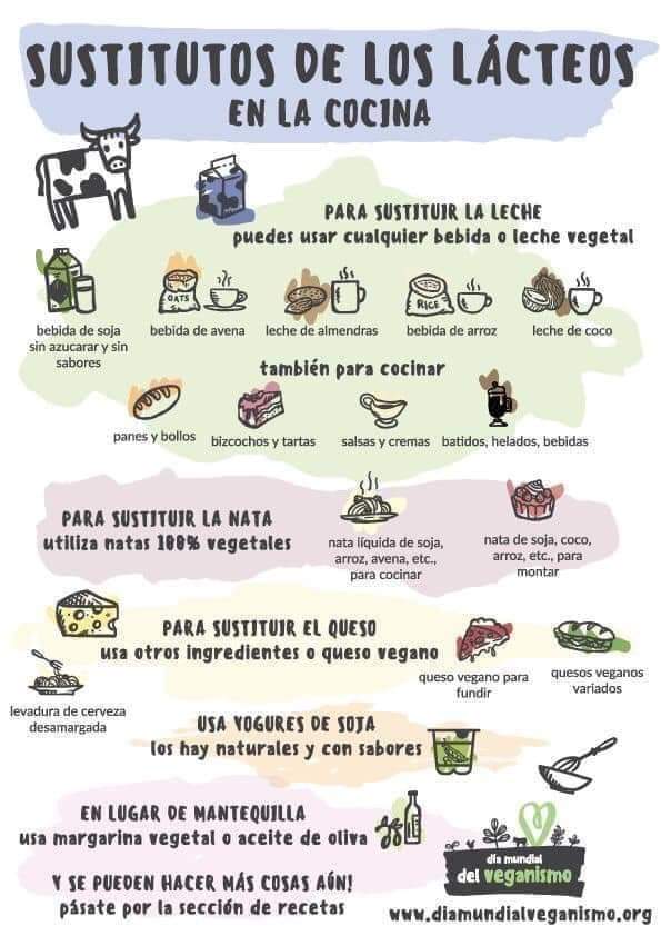 lacteos, sustitutos
