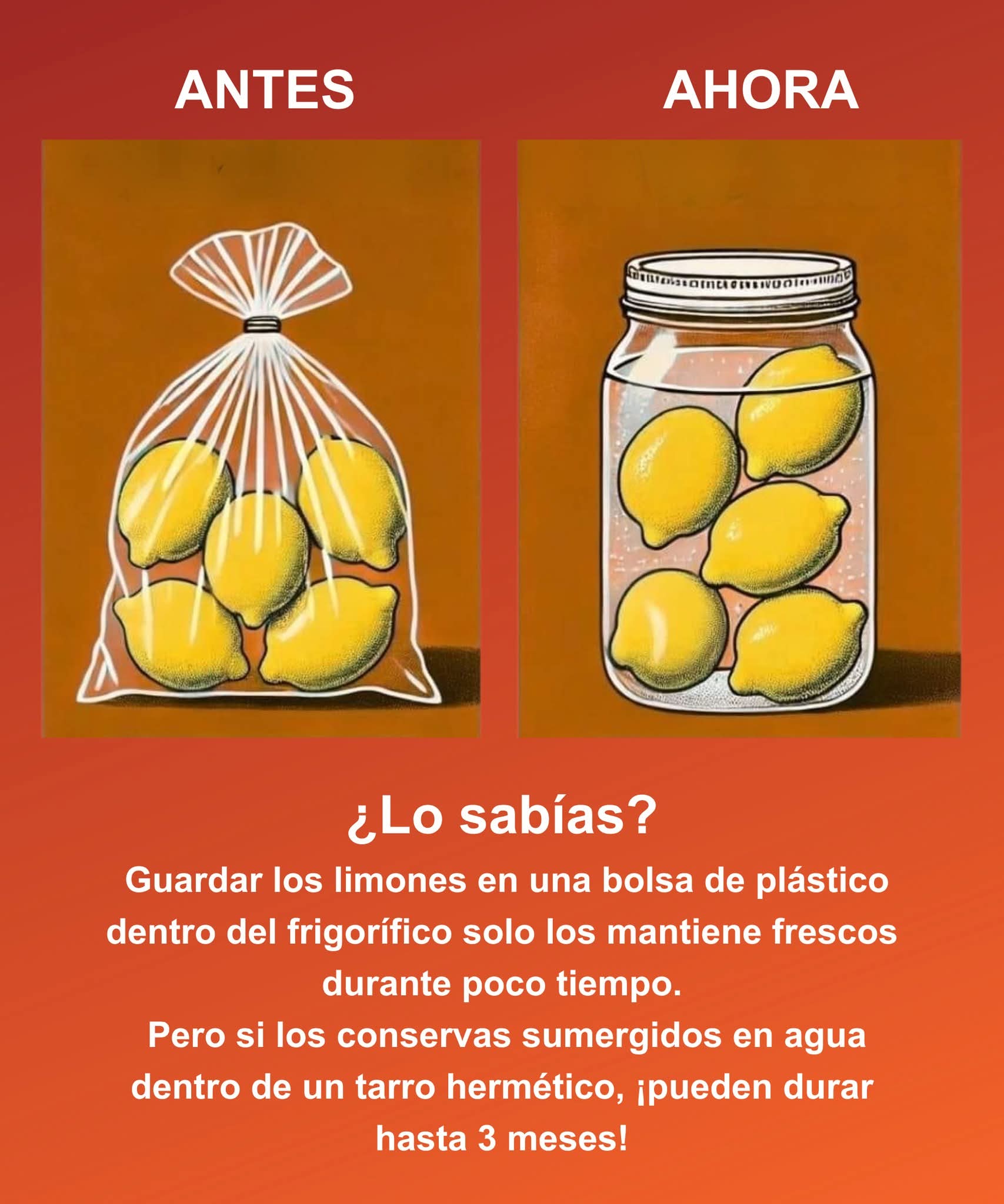 limon, almacenar