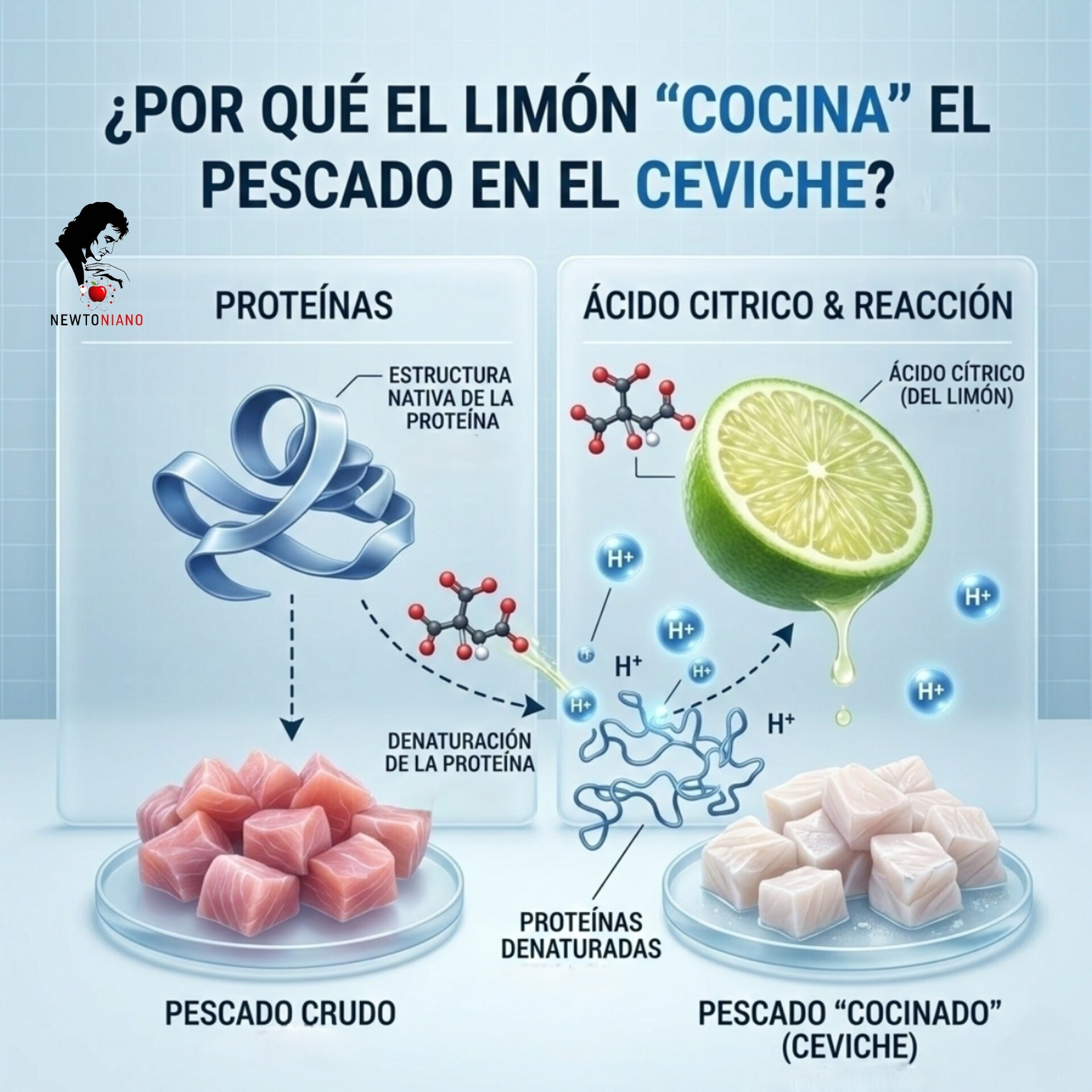 limon, pescado, cocinado
