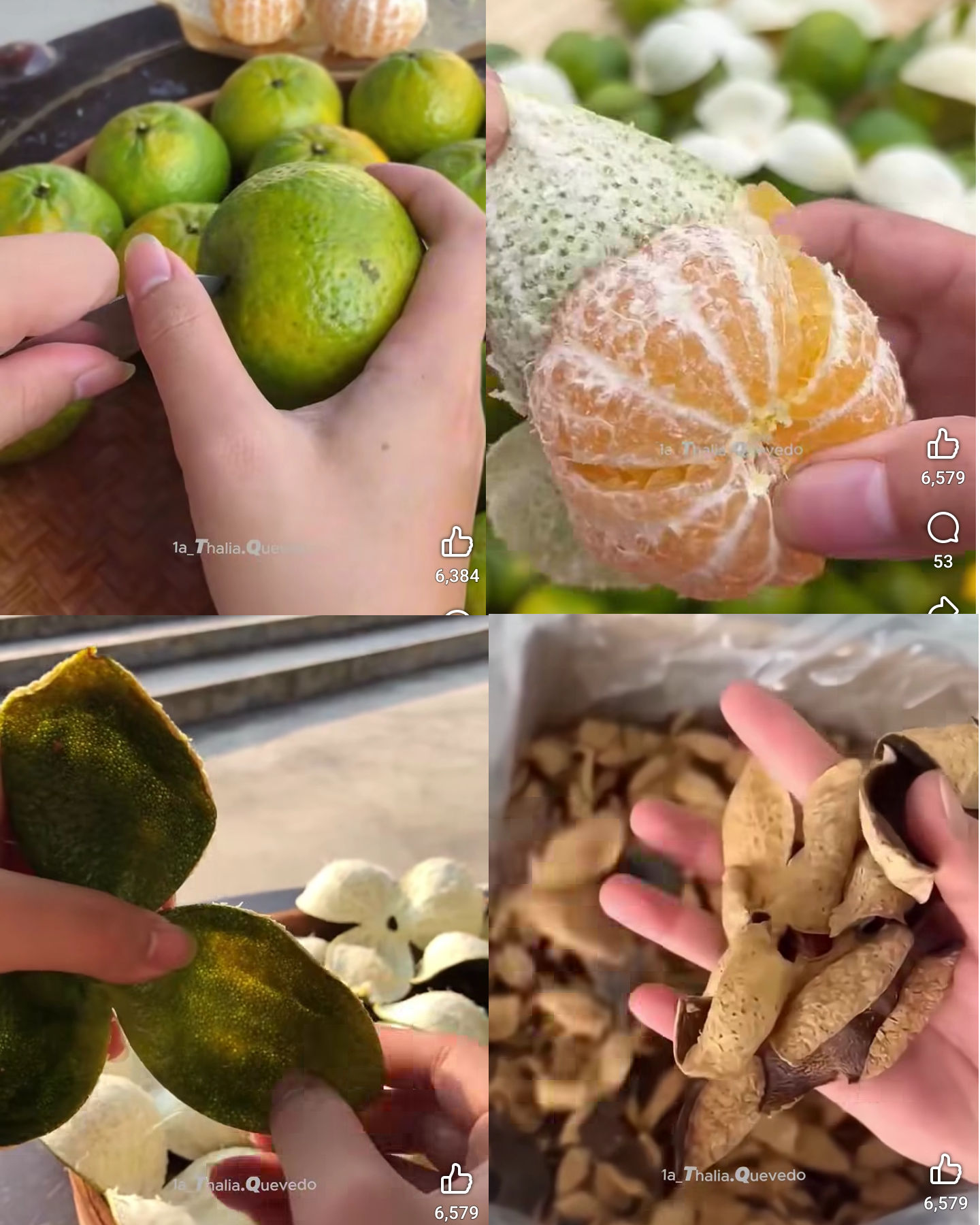 mandarina, cascara, secar