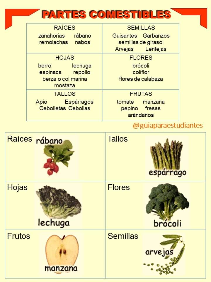 partes, comestibles