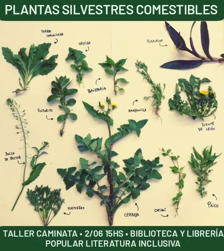 plantas, comestibles