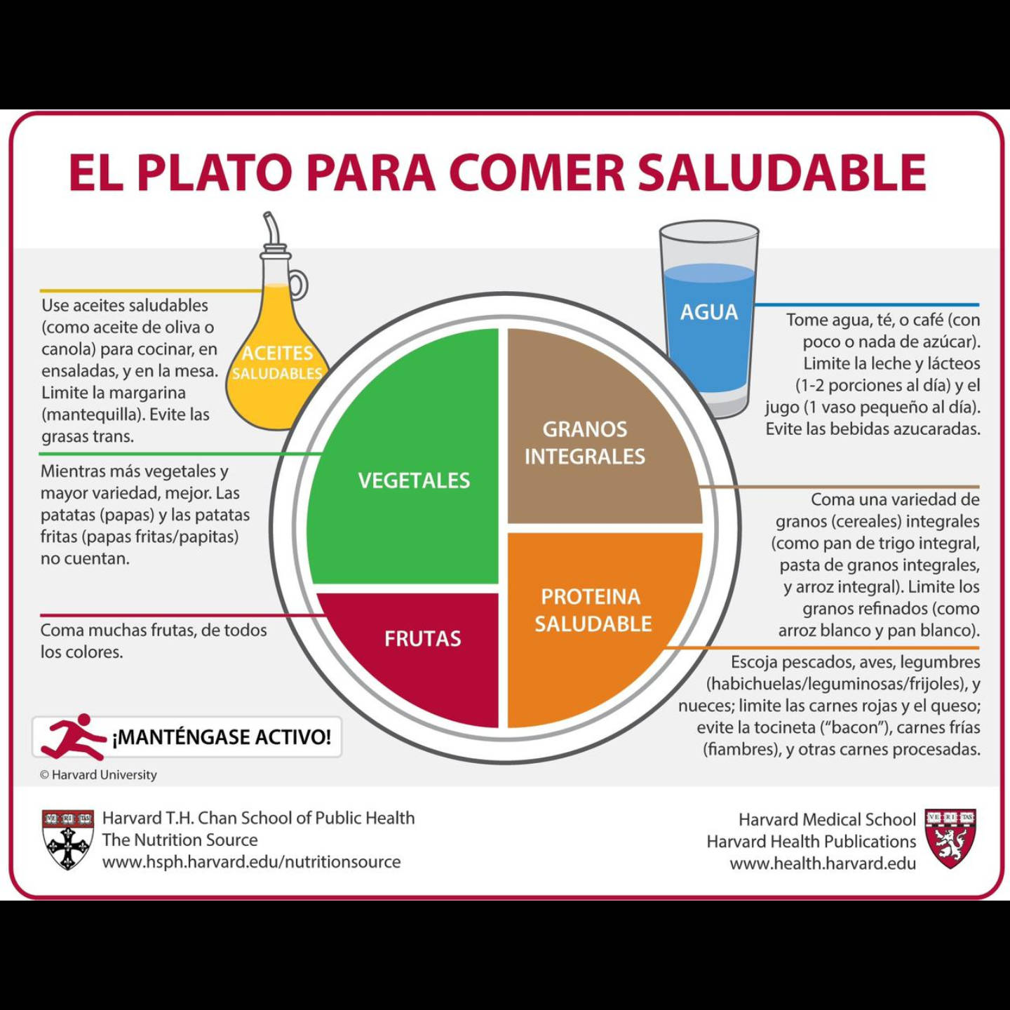 plato, saludable