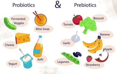 prebioticos, probioticos