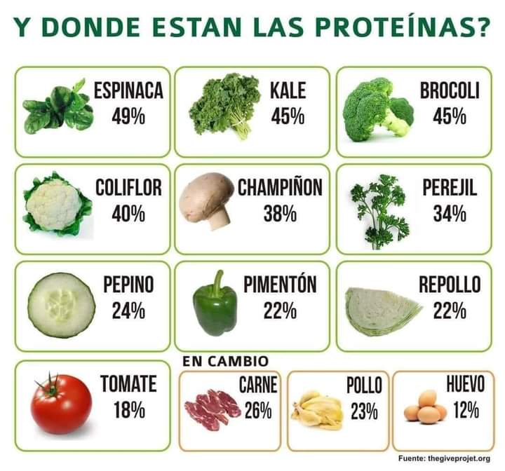 proteina, vegetales