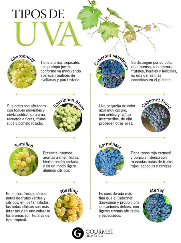 uvas