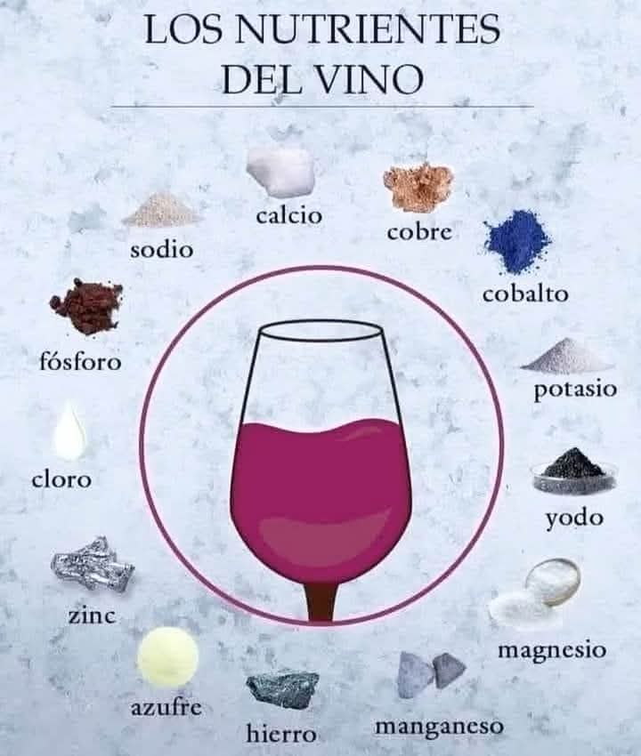 vino, nutrientes