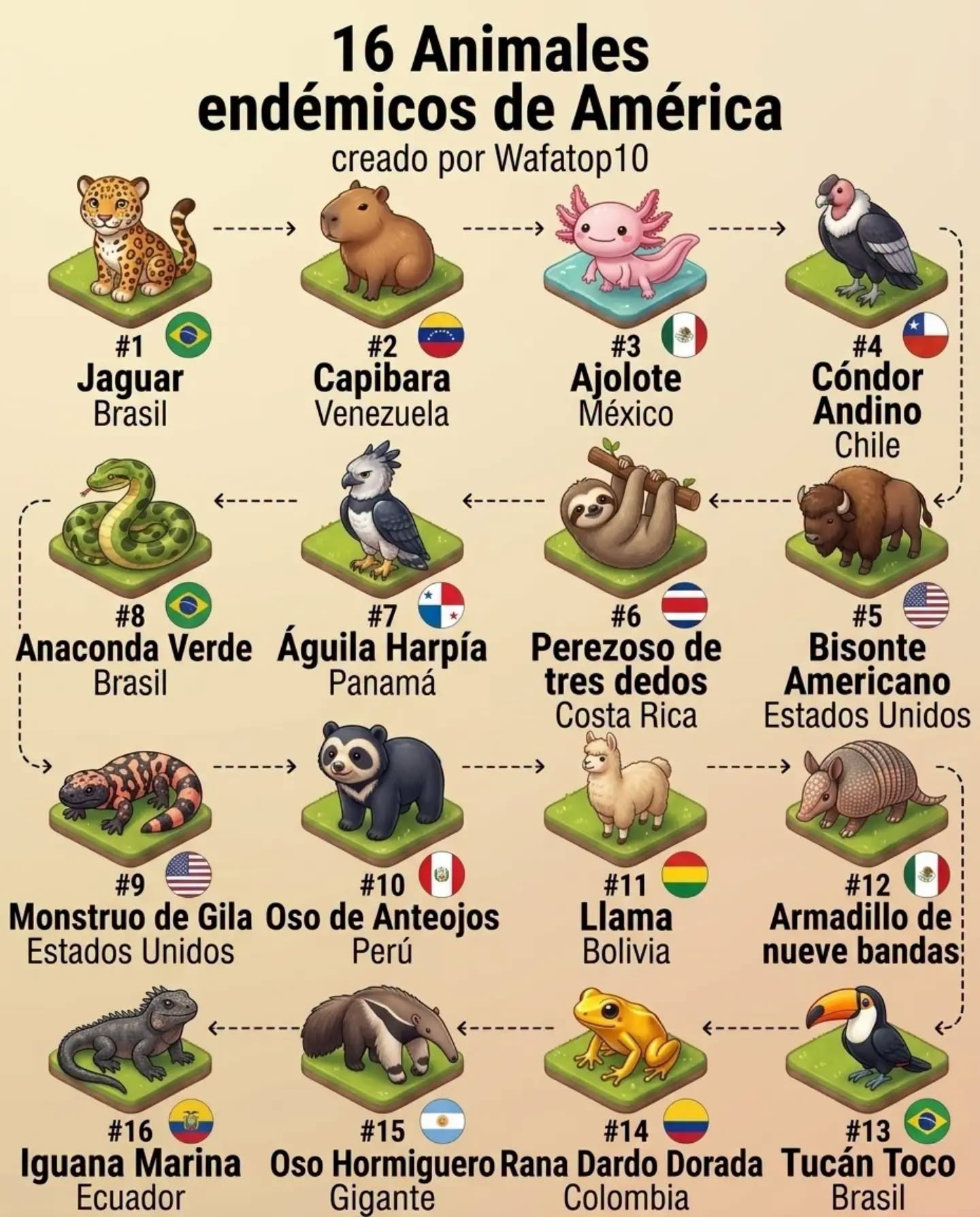 animales, america