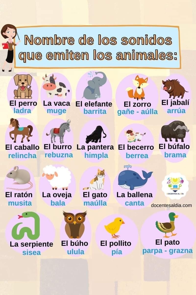 sonidos, animales