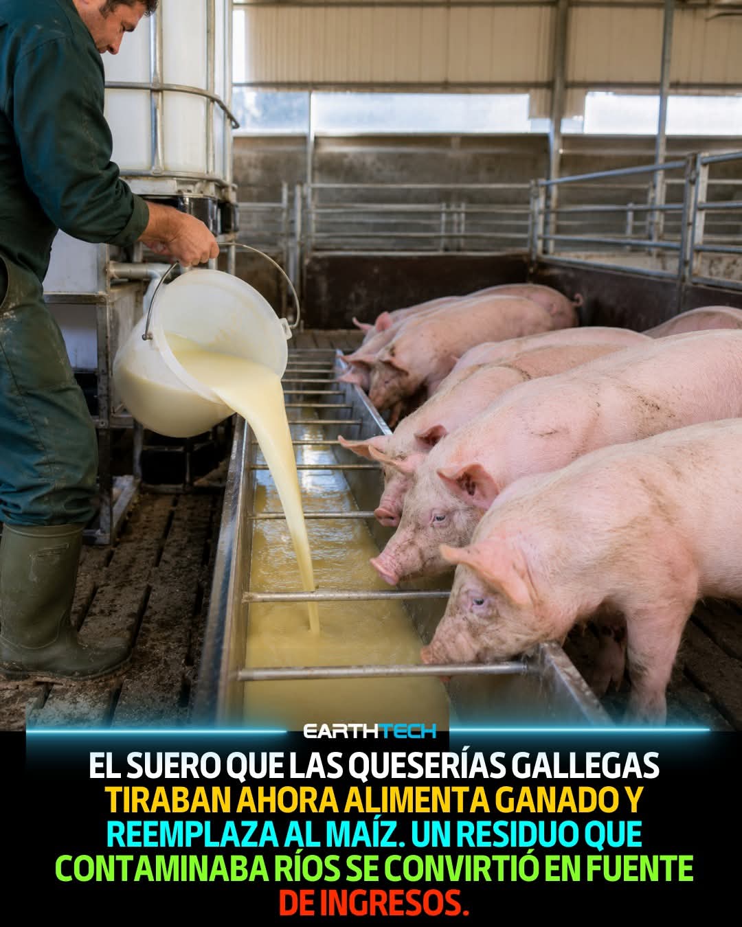 suero