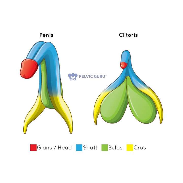 aparatos, reproductores