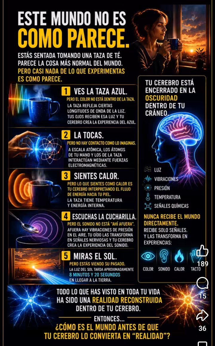 cerebro, realidad