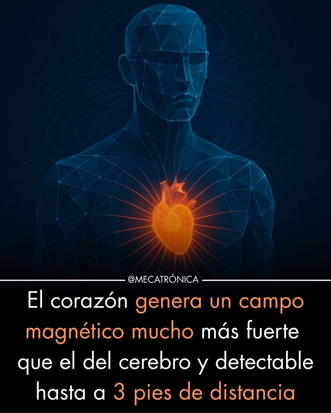 corazon
