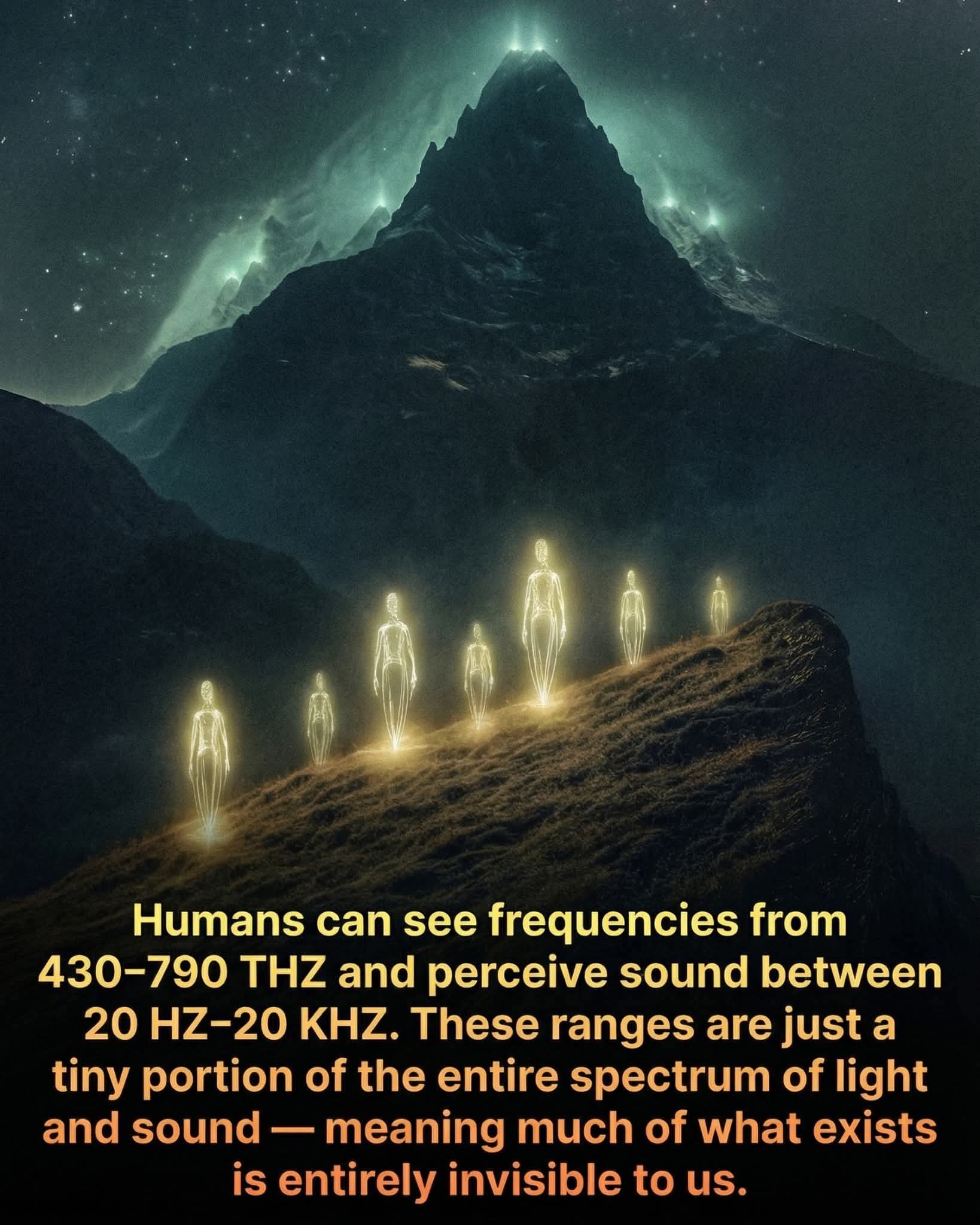 frecuencia, humanos