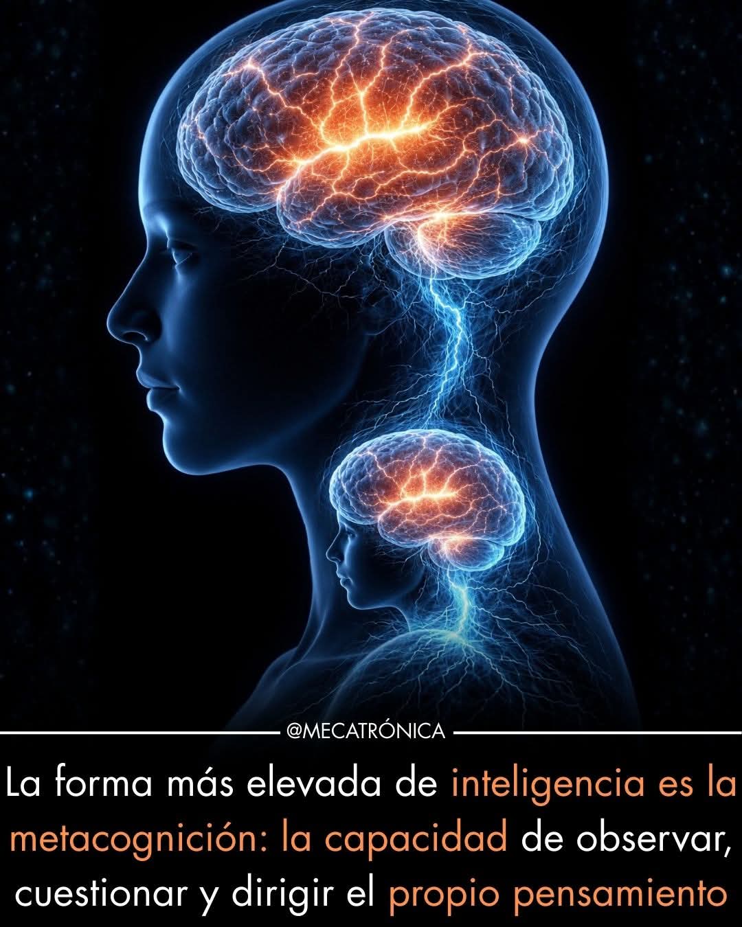 metacognicion