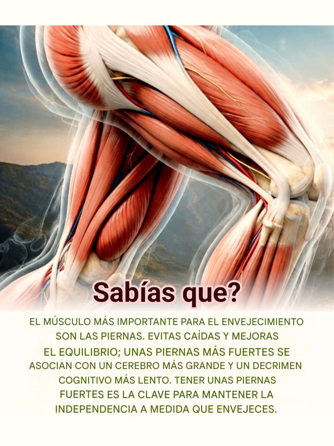 piernas