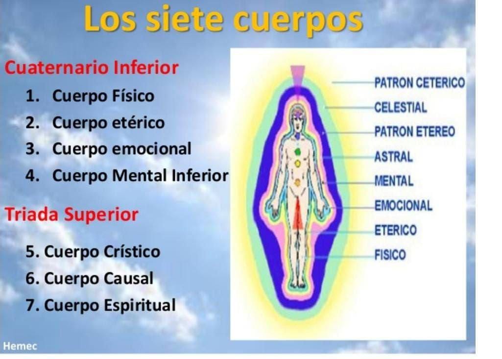 siete, cuerpos