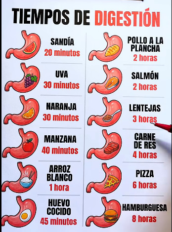 tiempos, digestion