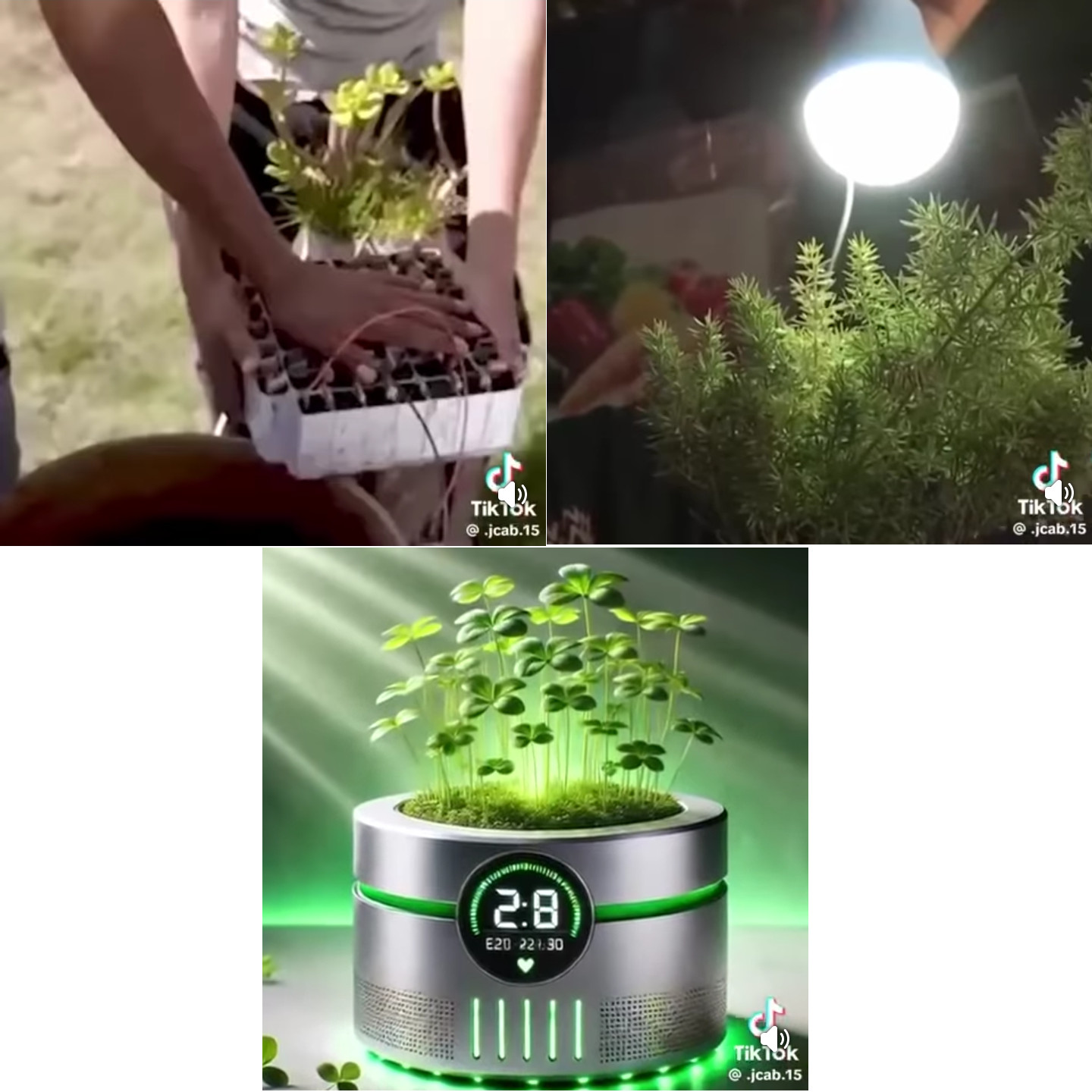 alinti, generador, plantas