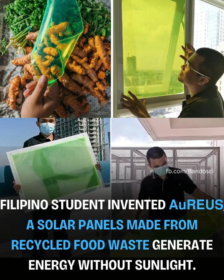 aureus, panel, solar