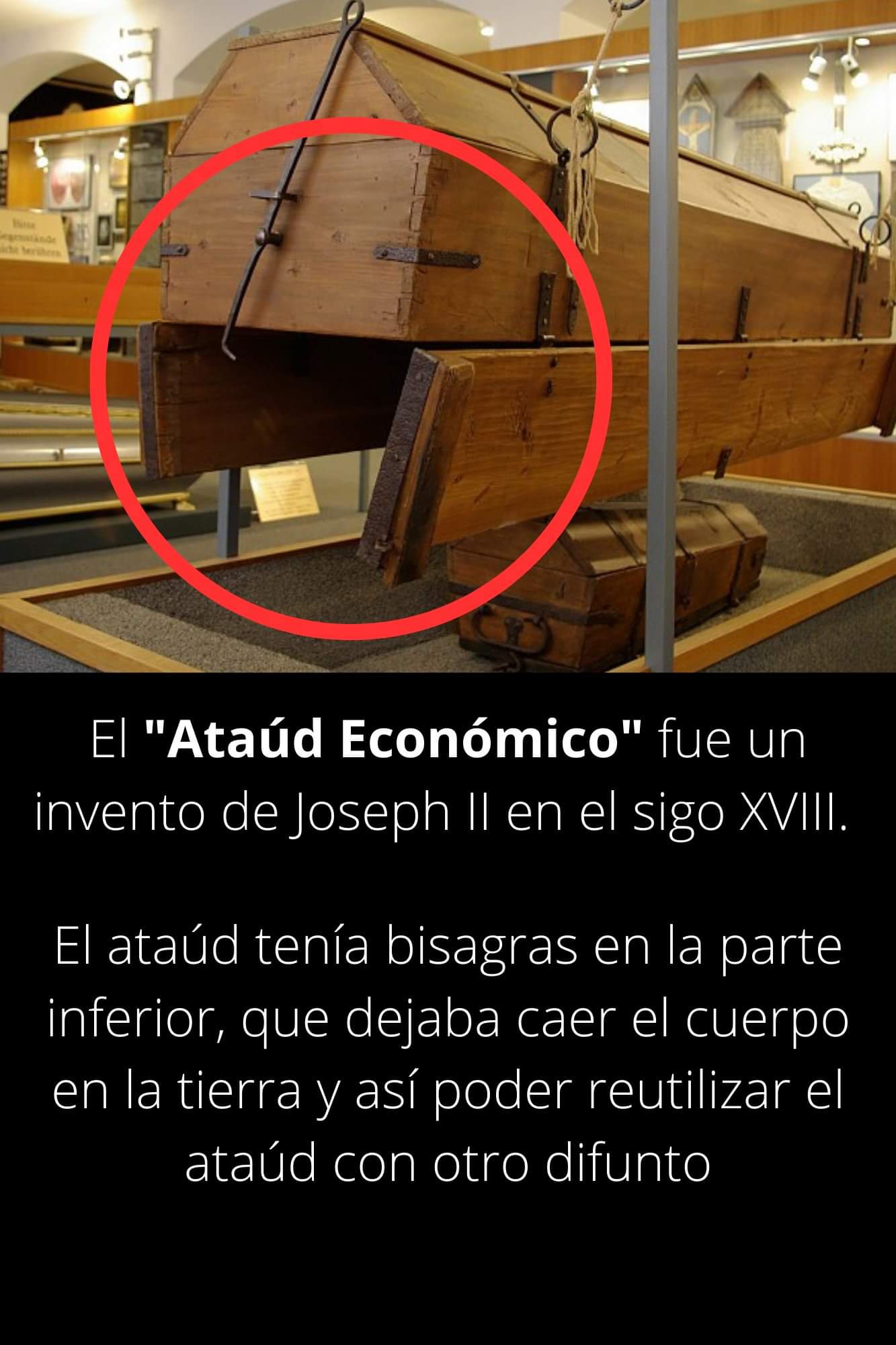 ataud, economico
