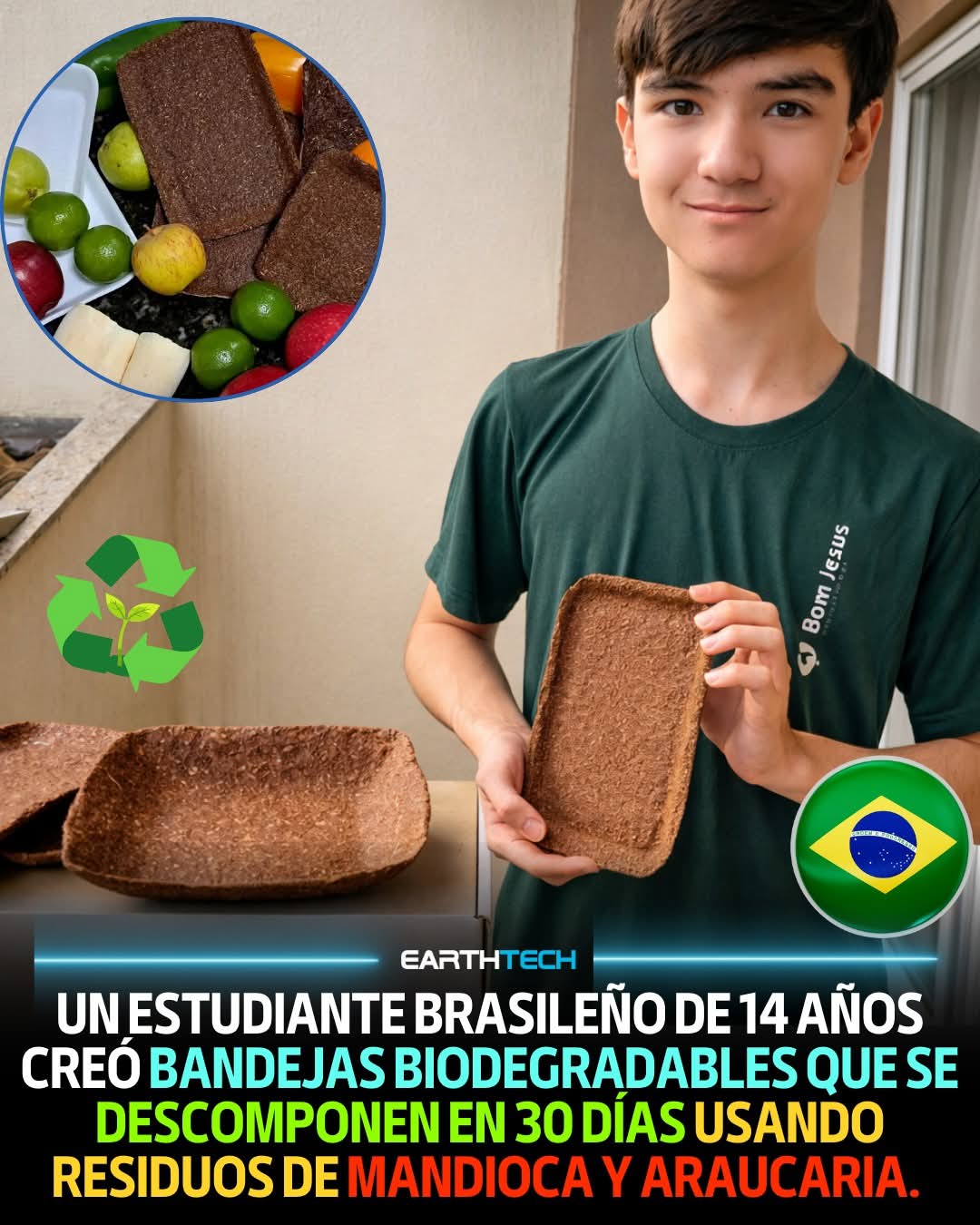 bandejas, madioca, araucaria