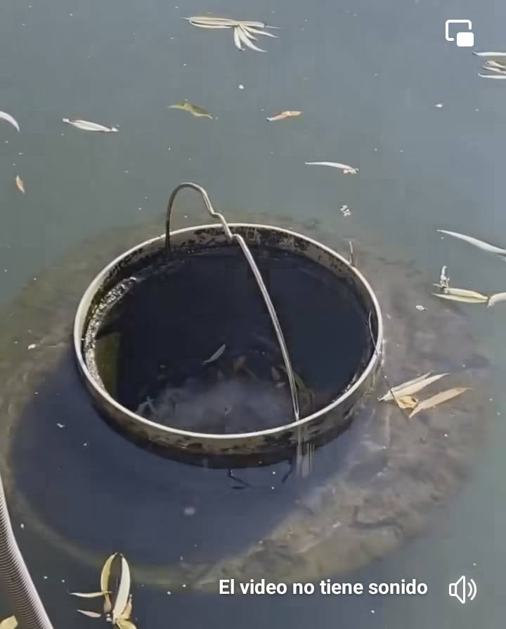 cubo, basura, flotante