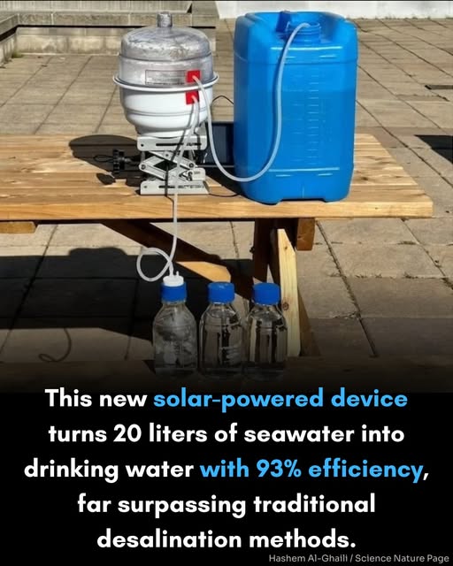 desalinizador, solar