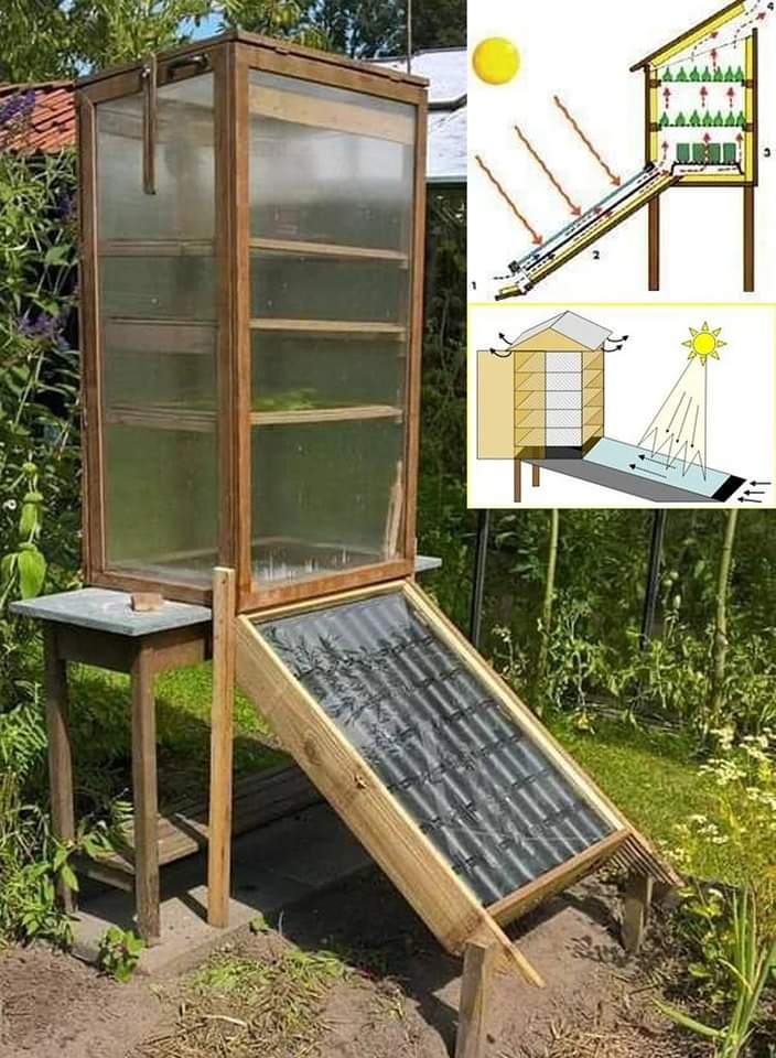 deshidratador, solar