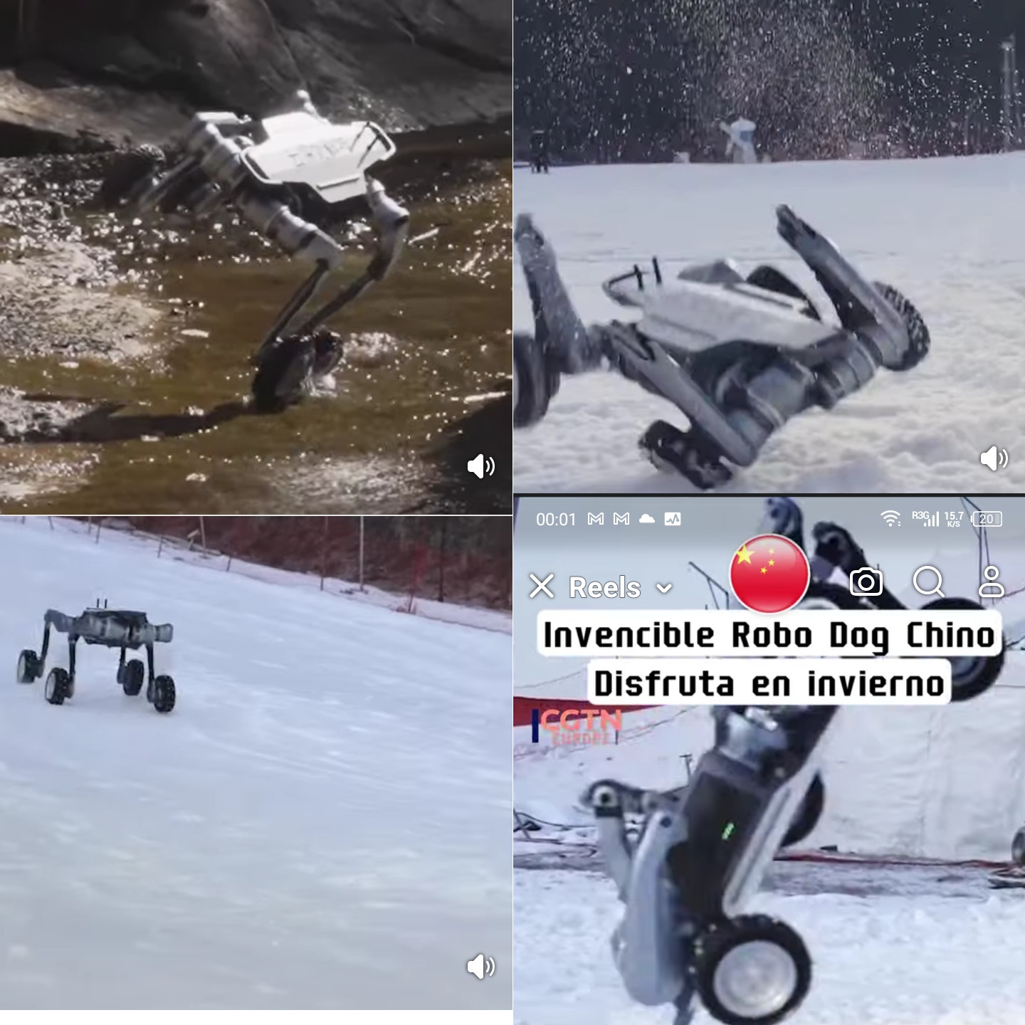 robo, dog, deep, robotics