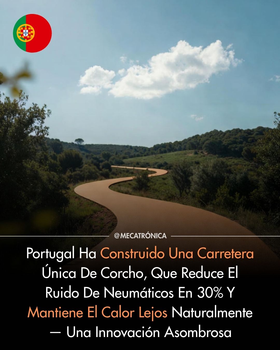 carretera, corcho
