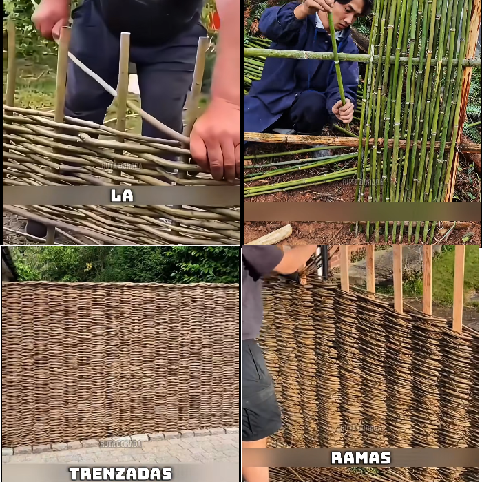 cerca, ramas, trenzadas