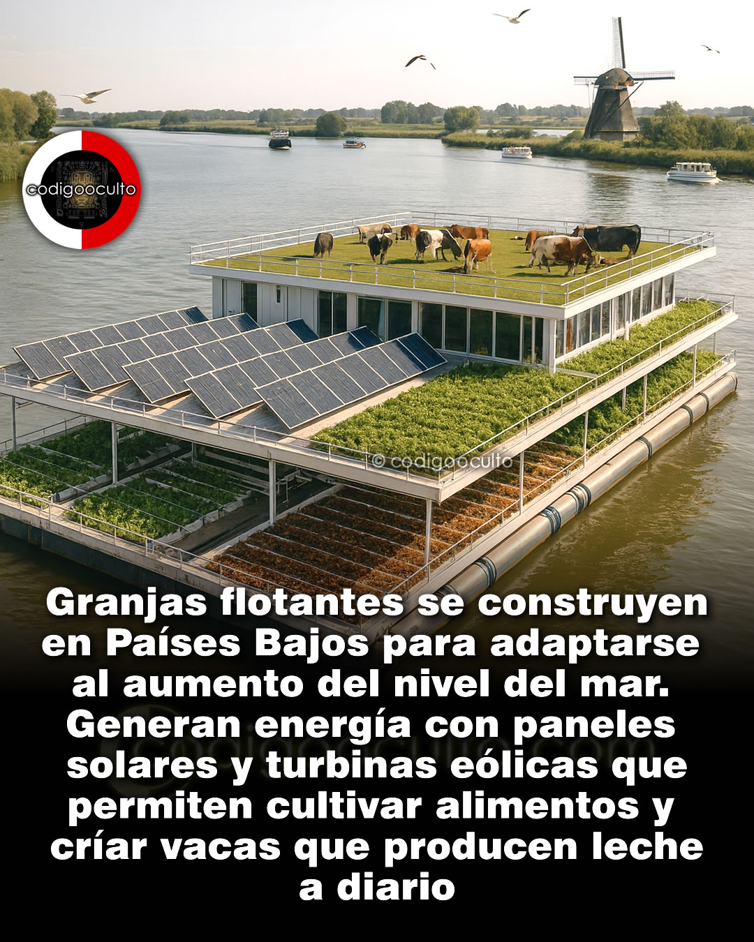 granja, flotante