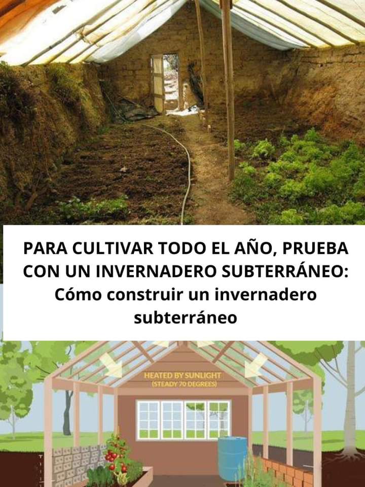invernadero, subterraneo
