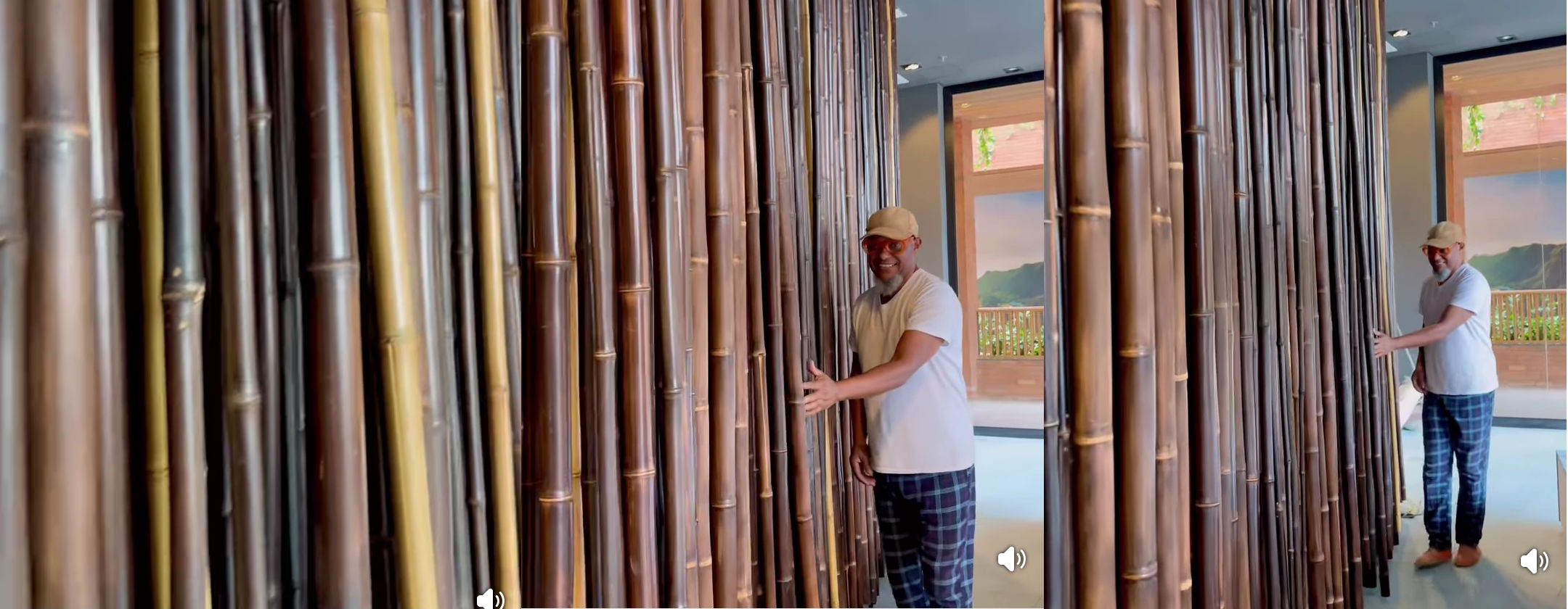 pared, bambu, canta, baila