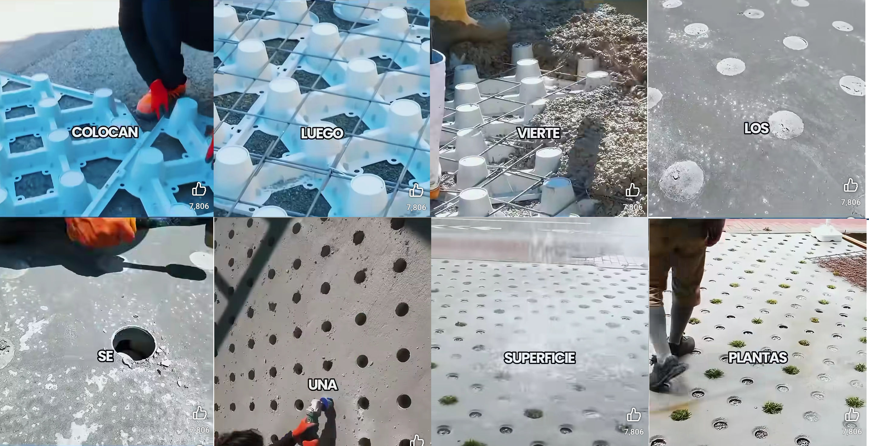 piso, absorbente, plantas