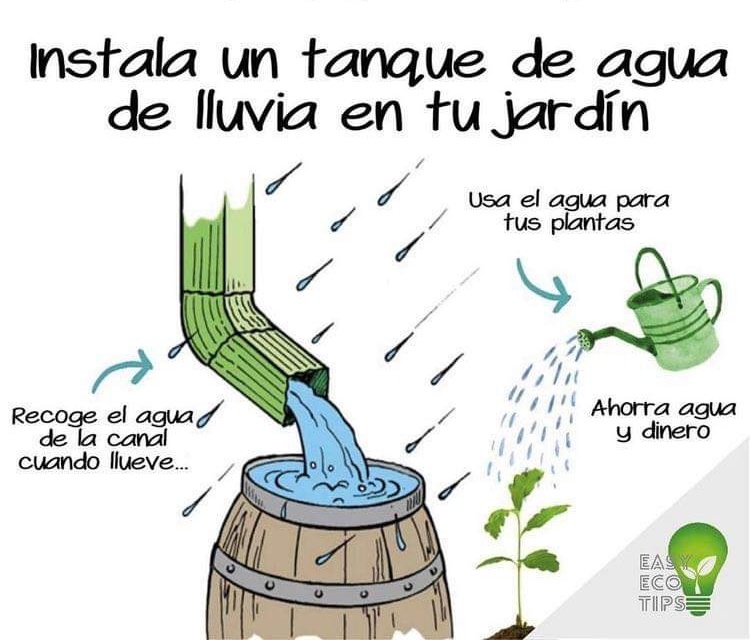 tanque, agua